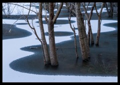 室生湖で