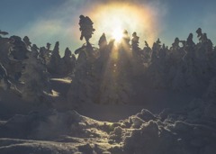 横手山スキ－場