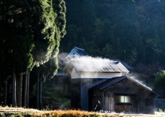 山里の朝3