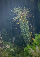 玉置山展望台より