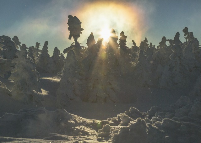 横手山スキ－場で