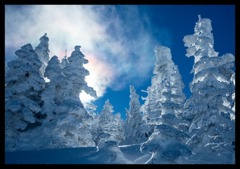 横手山スキ－場で