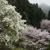 十津川方面へ