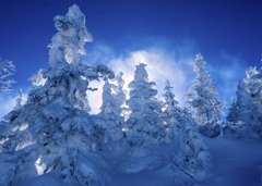 横手山スキ－場から