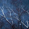 雪景色2