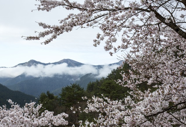 十津川方面へ