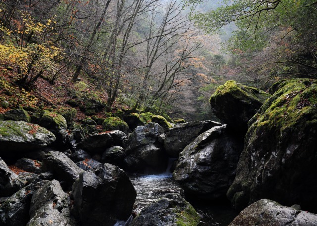 雨上がりの渓谷2