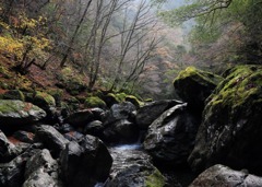 雨上がりの渓谷2