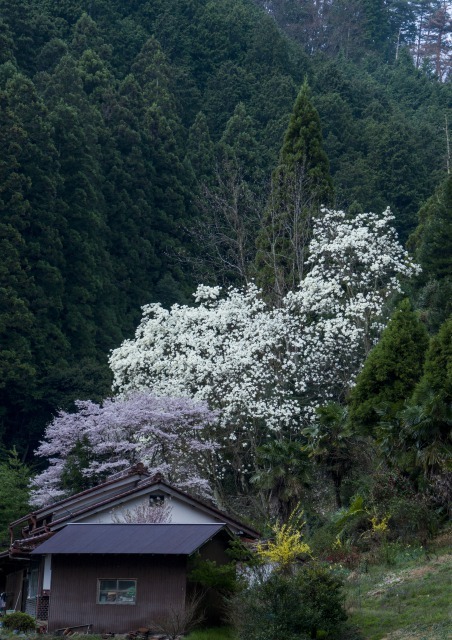 十津川方面へ