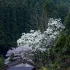 十津川方面へ