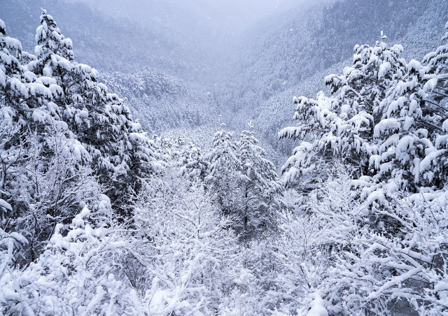 高野山1