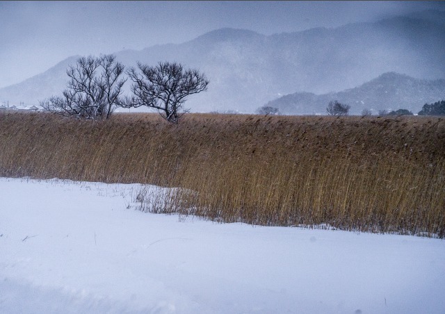 雪・氷3