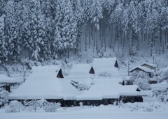 里山の雪景色3
