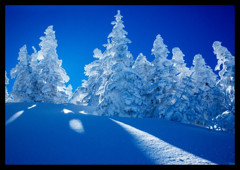 横手山スキ－場で