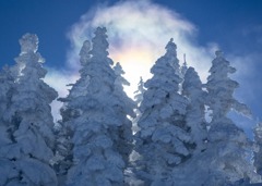 横手山スキ－場