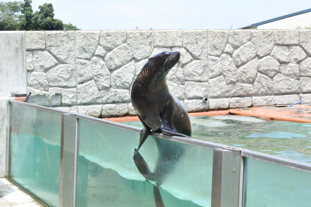 那須動物王国XVI！