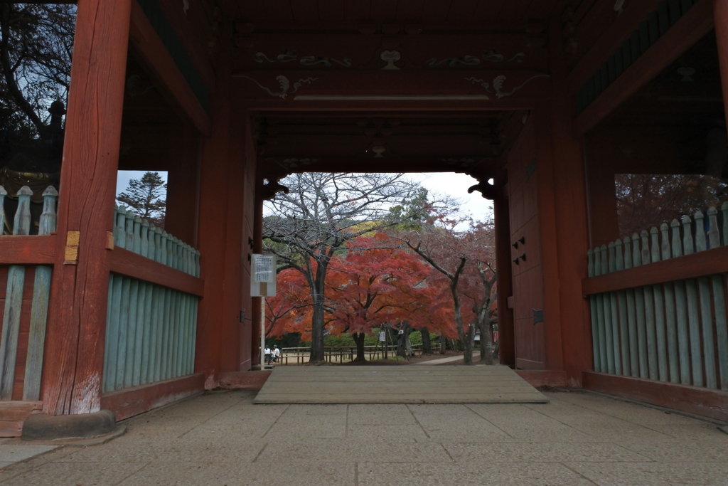 里山の秋VI！