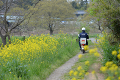 春の交通安全週間？