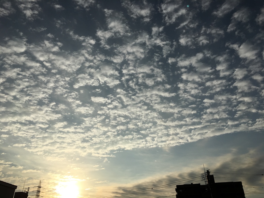 今日の朝は