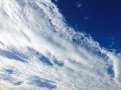 青と白