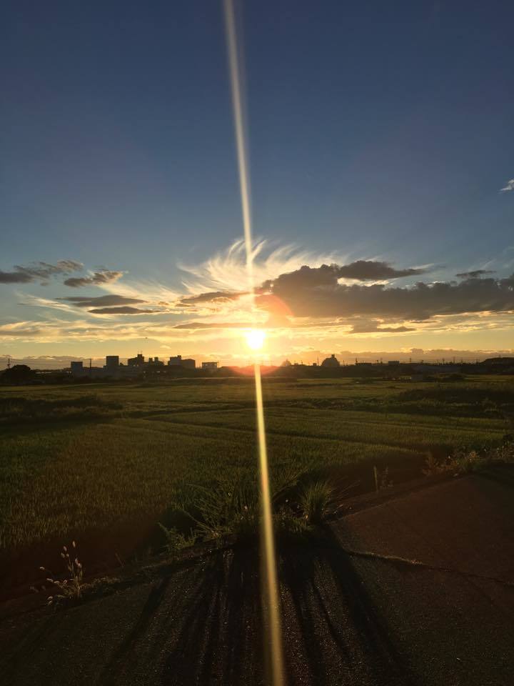 光の道筋