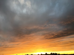 黄金に輝く夕陽