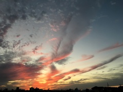 夕焼けに染まるNo.2