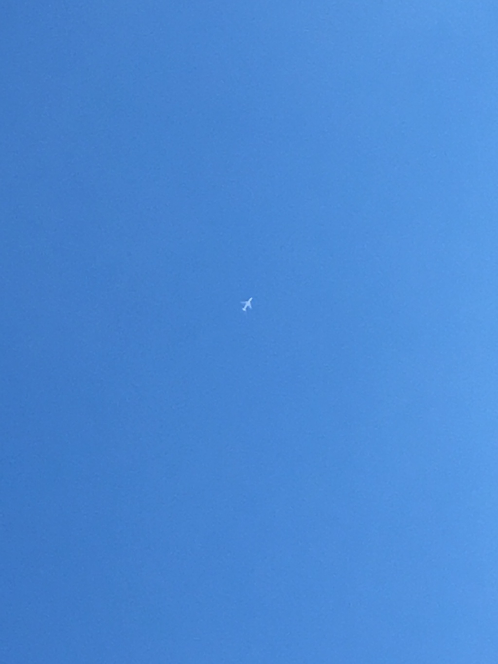 青に浮かぶ白い輝き