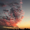 あかね色に染まる雲