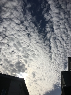 秋空