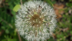 DSCF0097