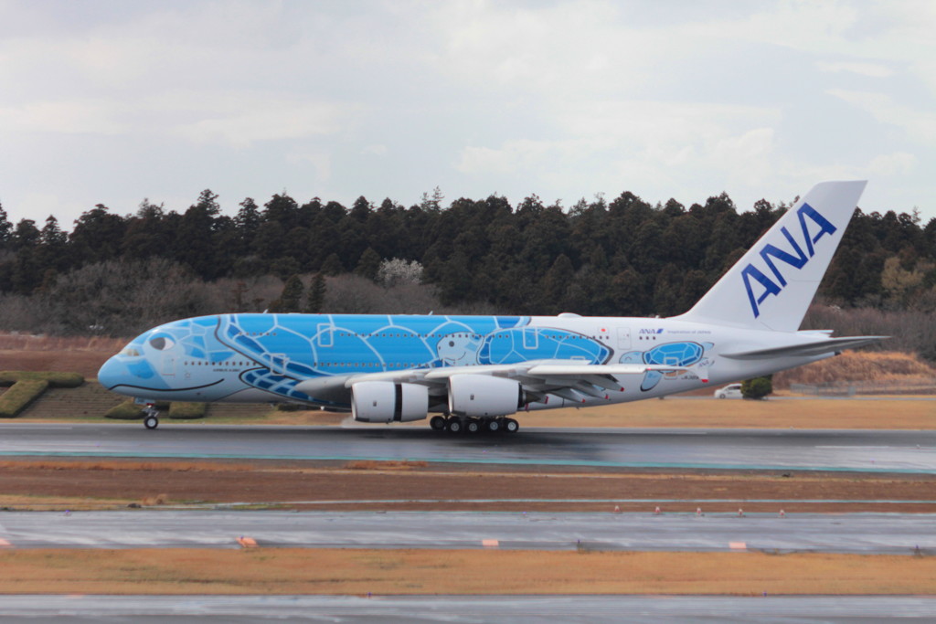 ANA　A380