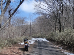 行こか戻ろか　考え中