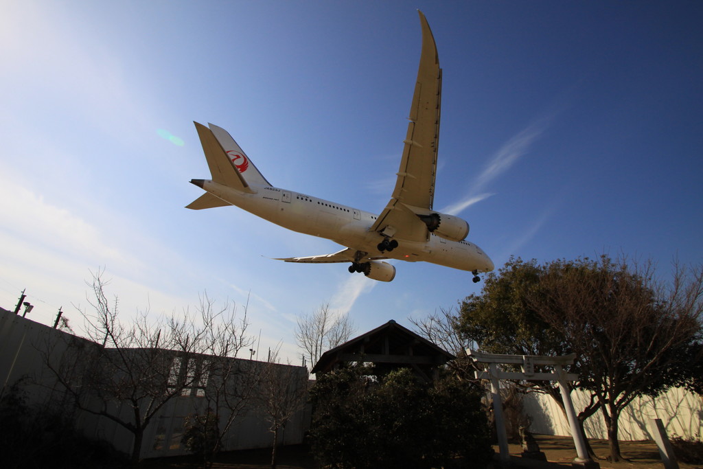 東峰神社上空にJAL787