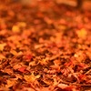 紅葉の絨毯