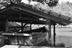 国営昭和記念公園