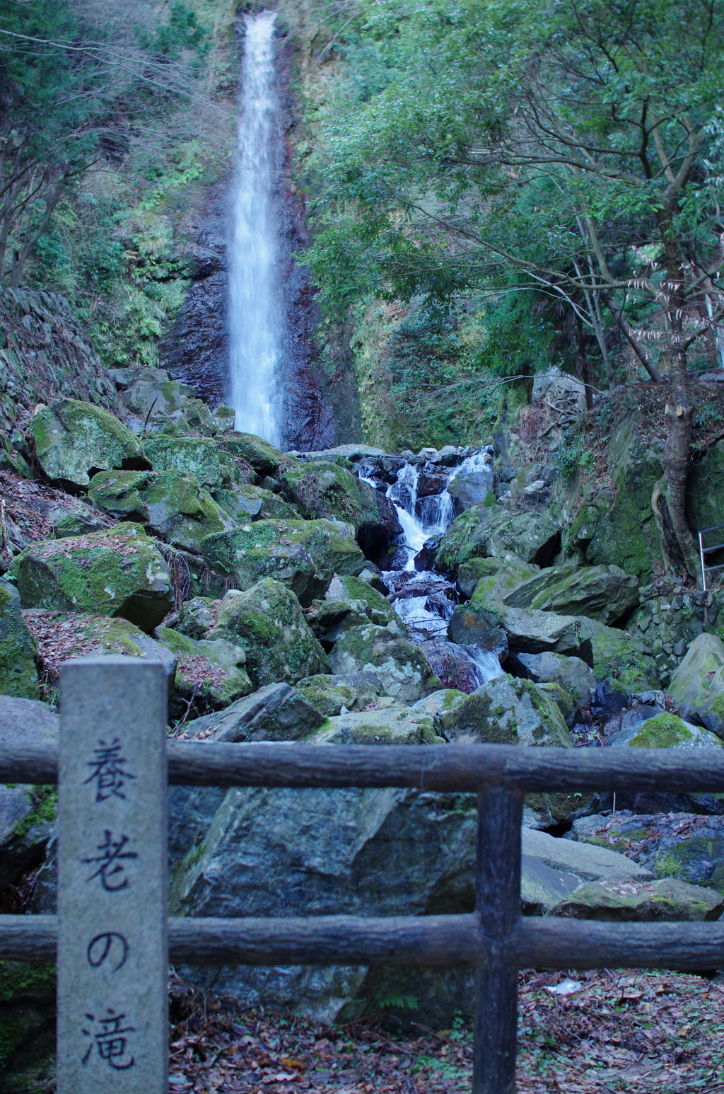 養老の滝