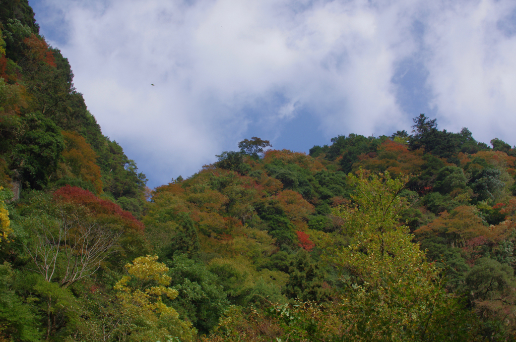 少し紅い