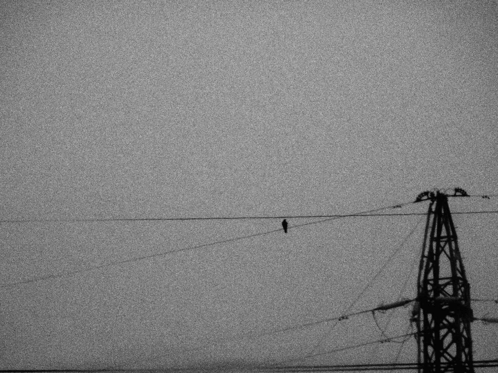 雨の日に