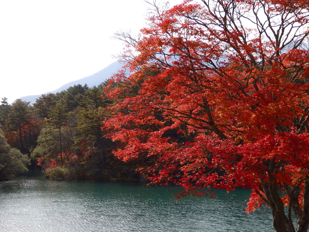 毘沙門沼の秋