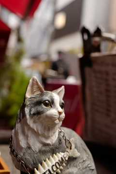 KAGURAZAKA STREETSNAP 07