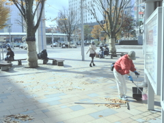 朝の清掃