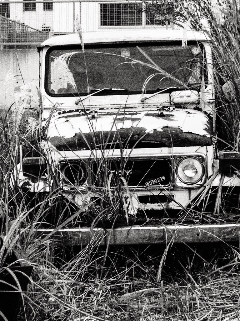 廃車