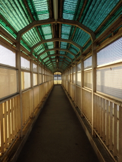 朝の横断橋にて