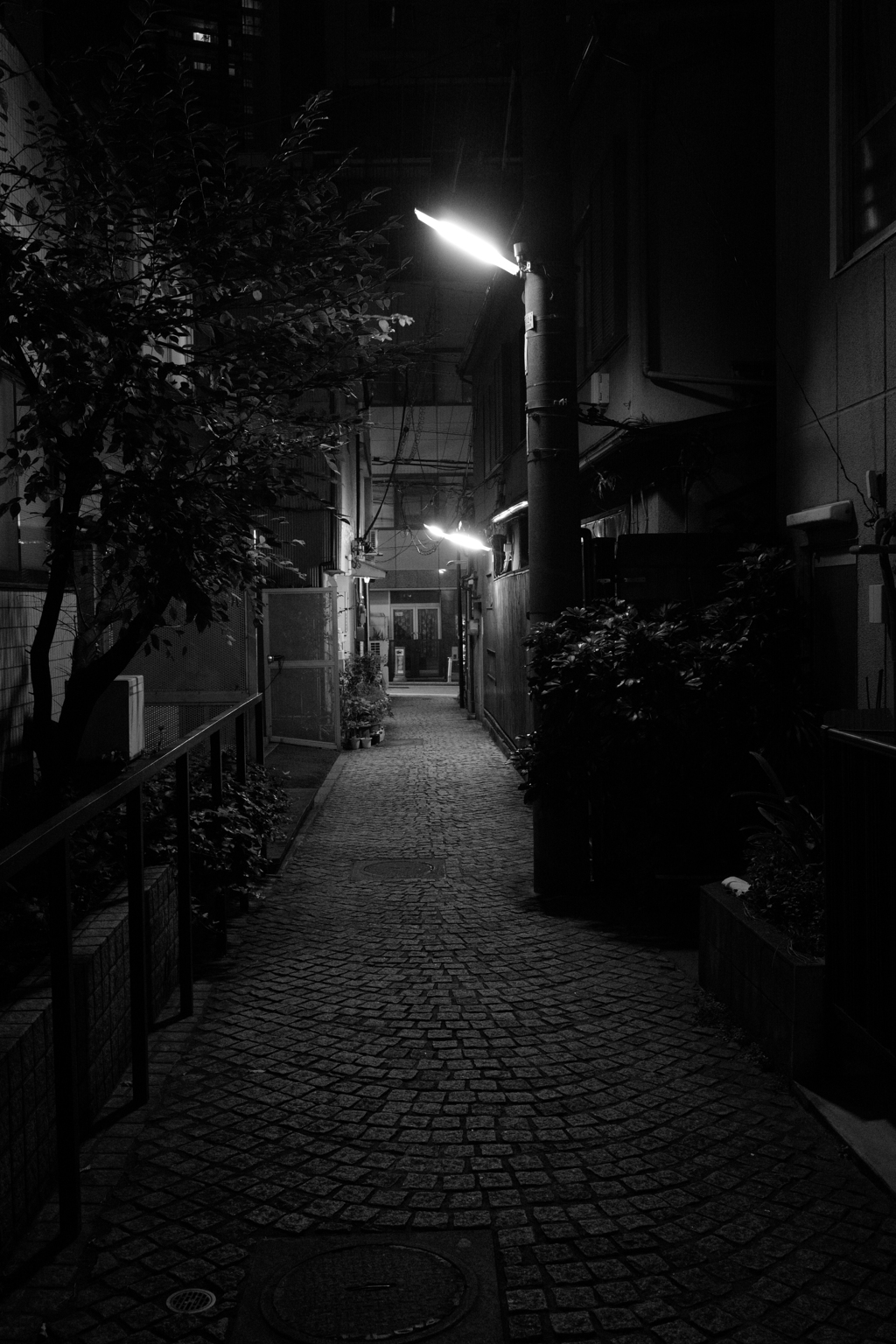 KAGURAZAKA STREETSNAP 05