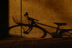 夕暮れの自転車