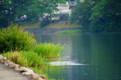 DSC03141
