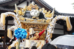 7DCF7842-8E75-4D98-8DB2-E4DF3096BDCF