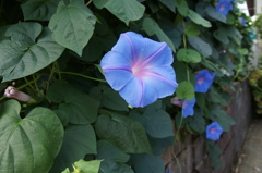 DSC03366
