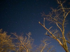 冬の夜空